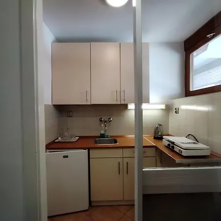 Aparthotel Viking
