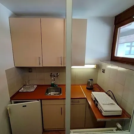 公寓式酒店 维京酒店 加尔多尼