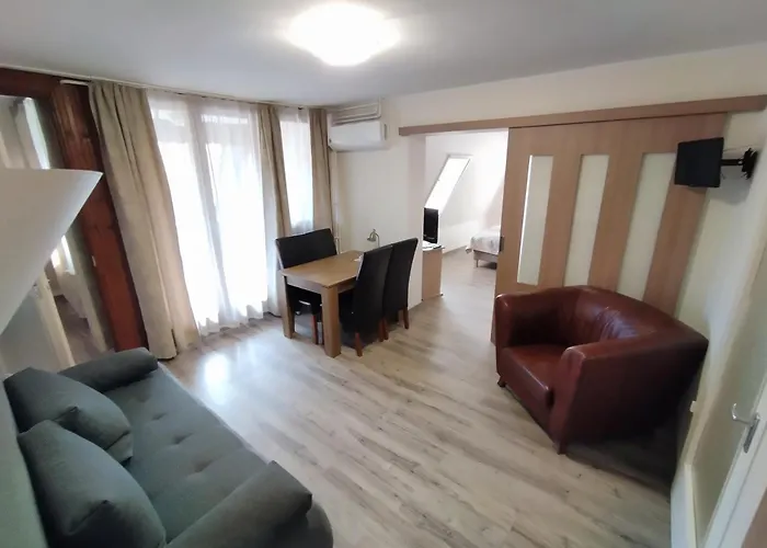 Viking Hotel apartamentowy